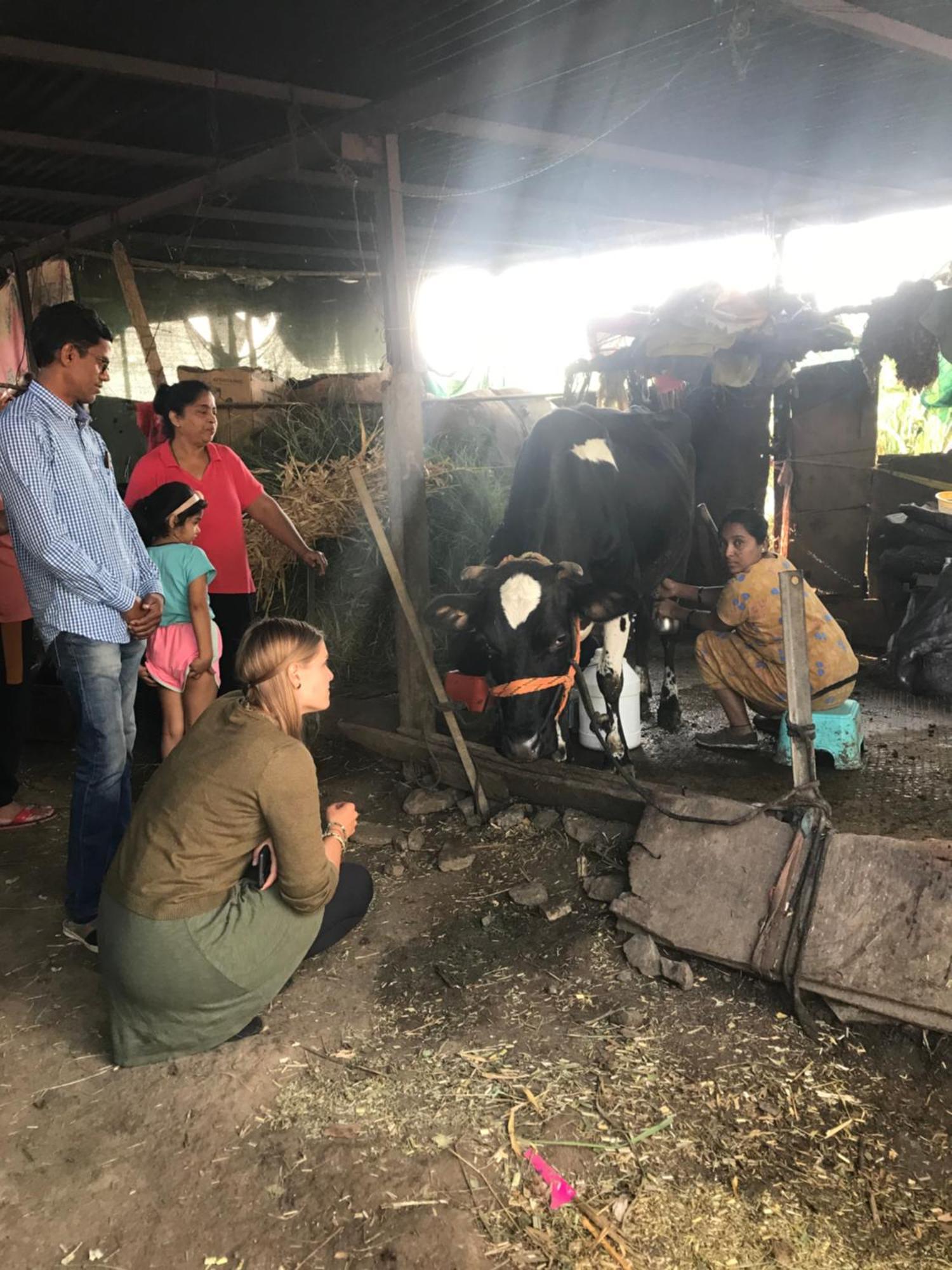 Ingawale Farmhouse Satara Luaran gambar